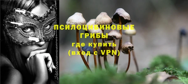 спайс Алексеевка