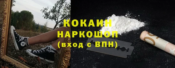 спиды Абаза