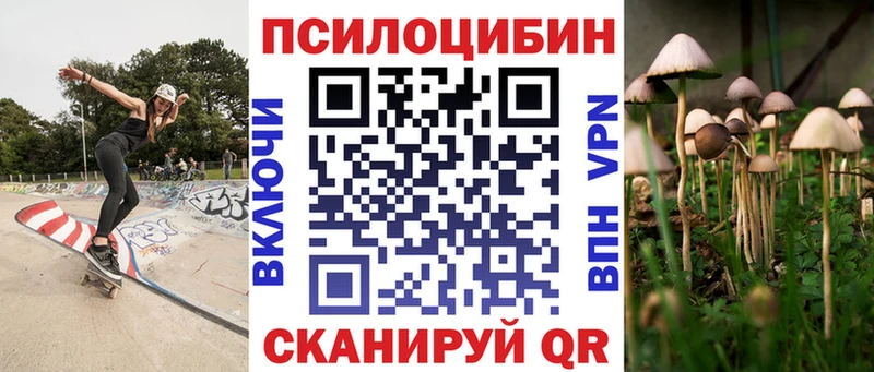 Псилоцибиновые грибы Cubensis  Тогучин 